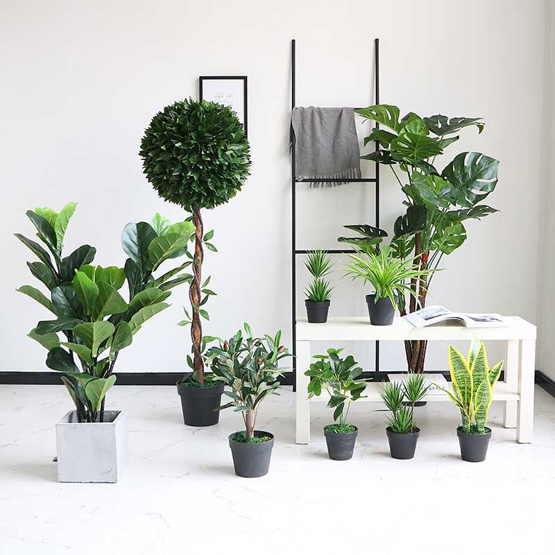 Нескучный домашний сад: комнатные растения в интерьере жилого дома