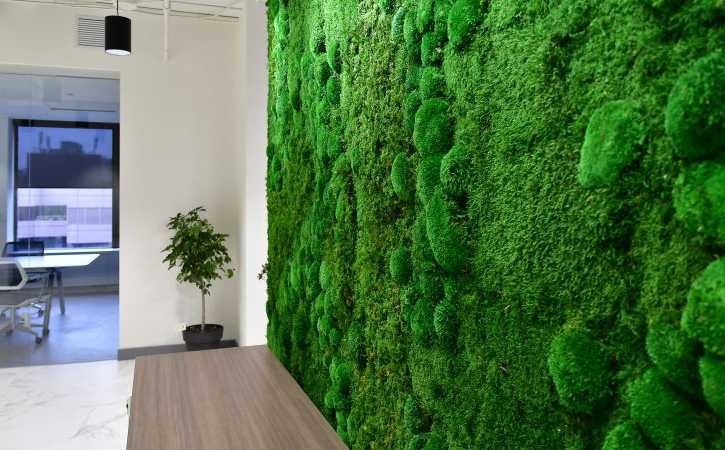 Стены из мха. озеленение дома: живые стены и композиции из мхов как сделать надпись из мха