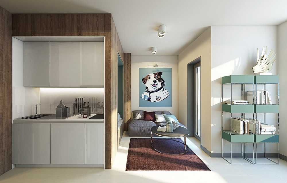Дизайн интерьера квартиры-студии 28 кв. метров (55 фото)