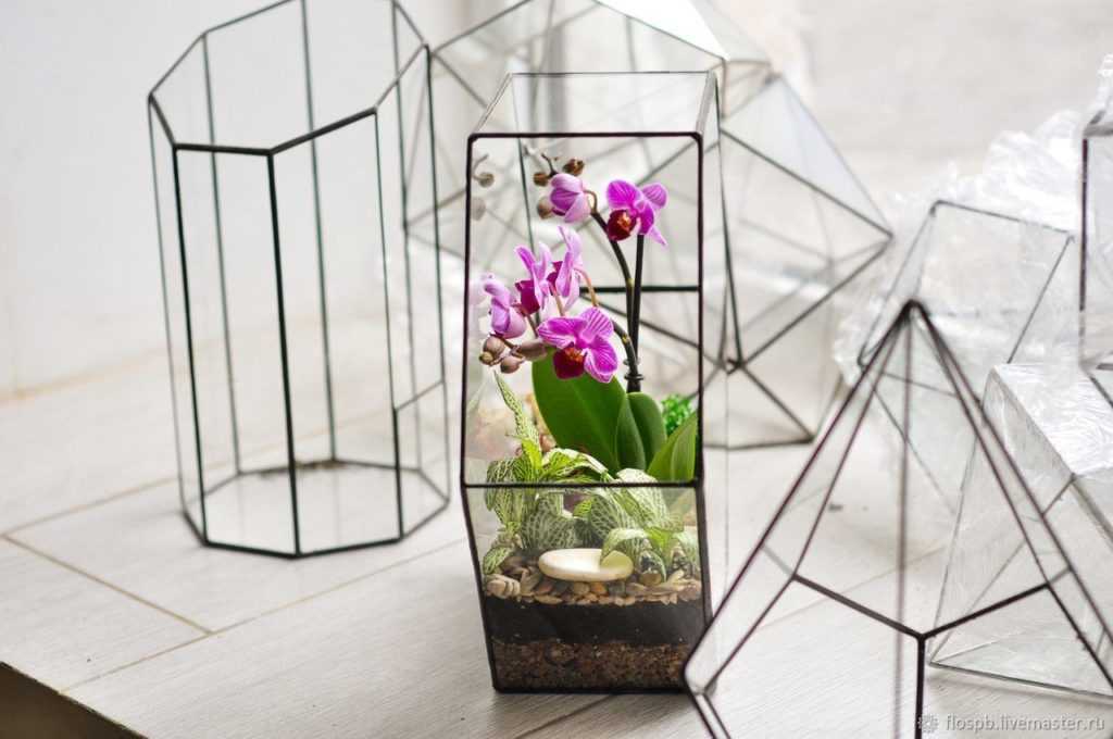 Кашпо для орхидей - какое должно быть: стеклянное (прозрачное), керамическое, подвесное или корзина сделанная своими руками и фото красивых вариантов