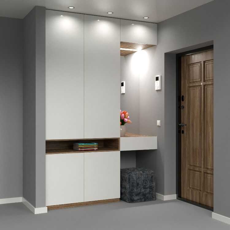 Дизайн шкафа-купе (127 фото): идеи фасадов в прихожую или коридор и в гостиную, внутренний декор встроенных моделей, какие бывают фасады