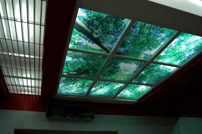 Как сделать стеклянные потолки с подсветкой, преимущества прозрачных конструкций, фото и видео примеры