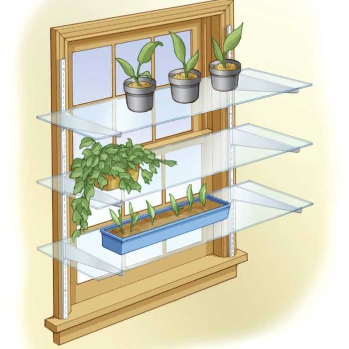 Стеллаж для рассады на подоконник: как сделать подставку растениям