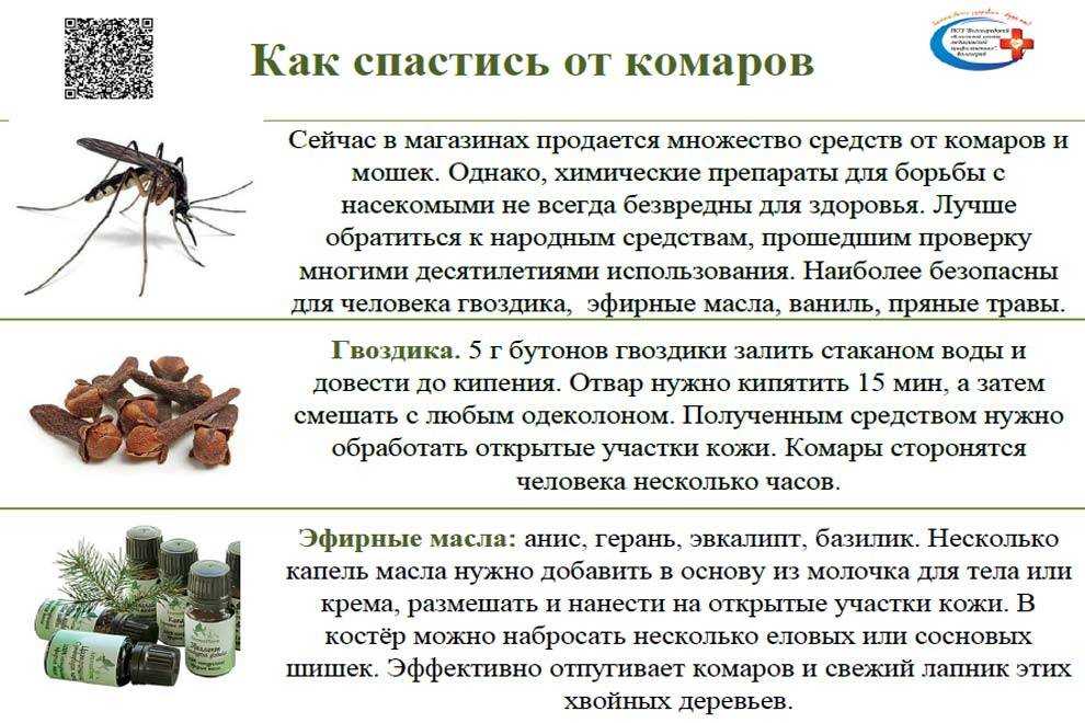 Народные средства от мухи: как в домашних условиях быстро избавиться от них? как бороться на улице и в помещении своими руками? травы и другие средства