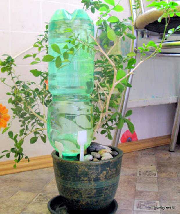 Автополив комнатных растений: как сделать автоматическое устройство своими руками, капельный полив домашних цветов в горшках, варианты готовых систем