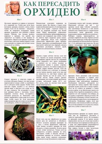 Орхидея лудизия драгоценная: описание цветка, фото сортов, рекомендации по размножению и уходу в домашних условиях русский фермер