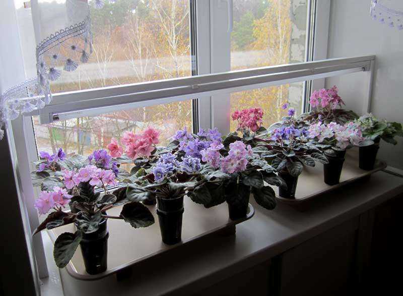 Какой горшок выбрать для комнатного растения? плюсы и минусы пластиковых, керамических и других горшков — ботаничка.ru
