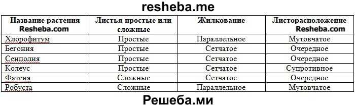 Листья простые или сложные жилкование листорасположение. Таблица по биологии 6 класс листья простые и сложные их жилкование. Таблица листья простые и сложные их жилкование и листорасположение 6. Таблица название растения листья простые или сложные жилкование. Биология названия растений простой или сложный лист таблица.