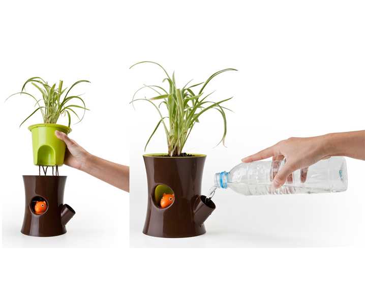 Автополив для комнатных растений и цветов своими руками