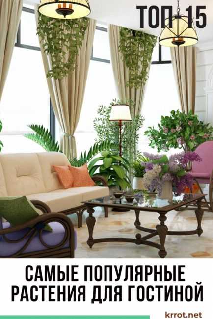 Цветочные композиции из комнатных растений и цветов в одном горшке: фото, правила составления