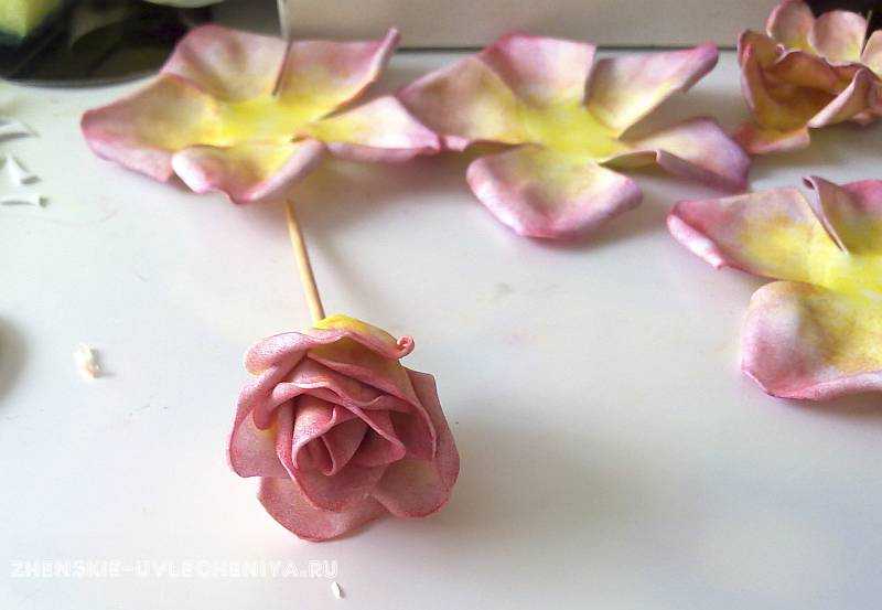 Фоамиран – нежный и деликатный материал для изысканных цветов