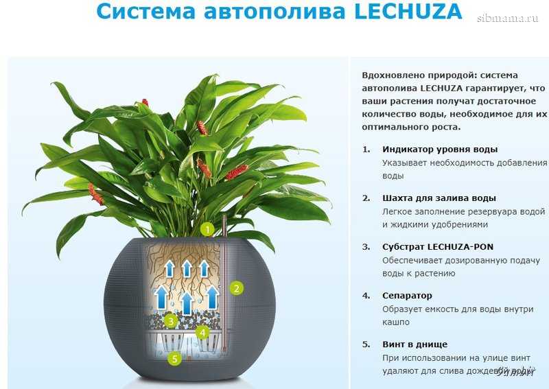 Горшки lechuza: особенности немецких подвесных и напольных цветочных горшков с системой автополива. характеристики моделей cubico, classico и delta