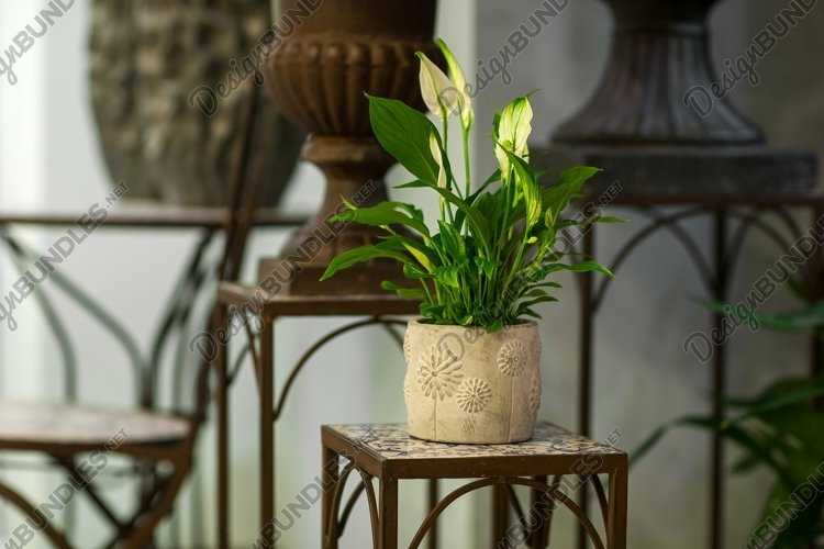 Горшки для цветов своими руками (44 фото): как сделать цветочные горшки для орхидеи и топиария из подручных материалов своими руками? изготовление деревянных и глиняных моделей