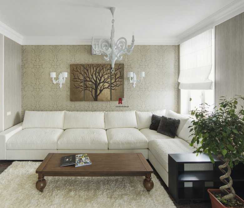 Диваны для маленькой комнаты (54 фото): как выбрать компактные стильные диваны для малогабаритных квартир? небольшие раскладные и другие диваны в интерьере