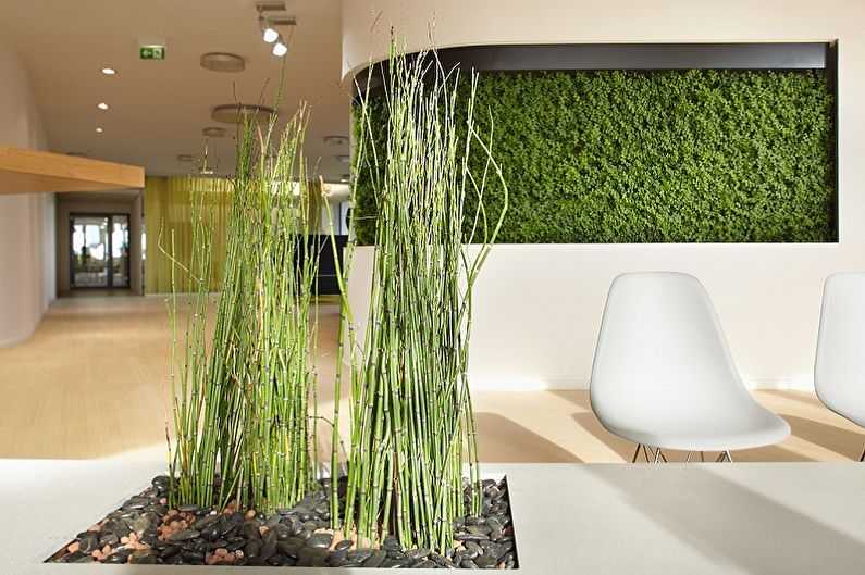 Стабилизированный мох в интерьерах: креативная отделка стен и актуальный тренд в озеленении