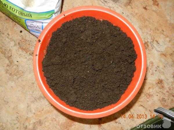 Почва для растений – субстраты, смеси, компоненты. как составить субстрат для цветов