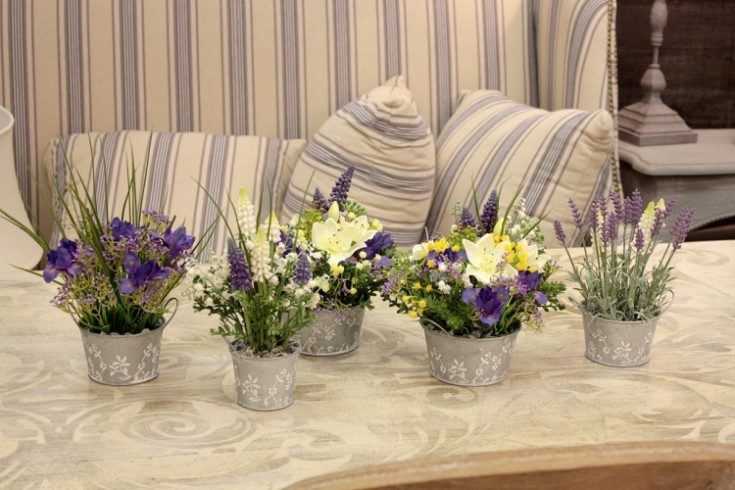 Если вы хотите стабильности в своем доме, размещайте комнатные цветы по феншую | все о фен-шуй