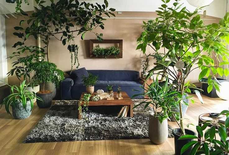 Особенности выбора и размещения растений в интерьере жилого дома