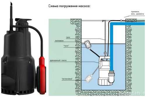 Как высушить погреб: приемы опытных дачников