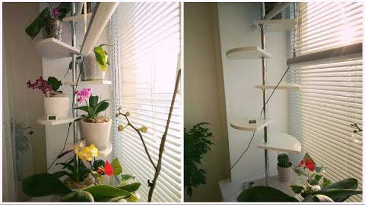 Деревянные подставки для цветов (52 фото): подставки из дерева в виде стойки, настенные декоративные модели для комнатных растений