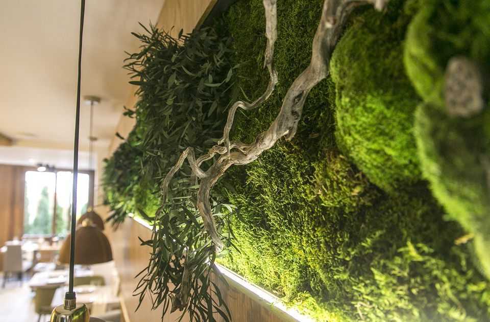 Искусственный мох: как выбрать мох на стену, для декора и для аквариума? декоративный мох в интерьере