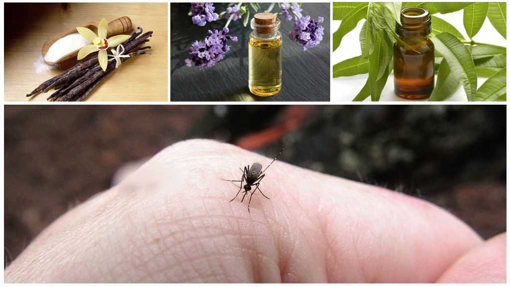 Народное средство от комаров и мошек на природе