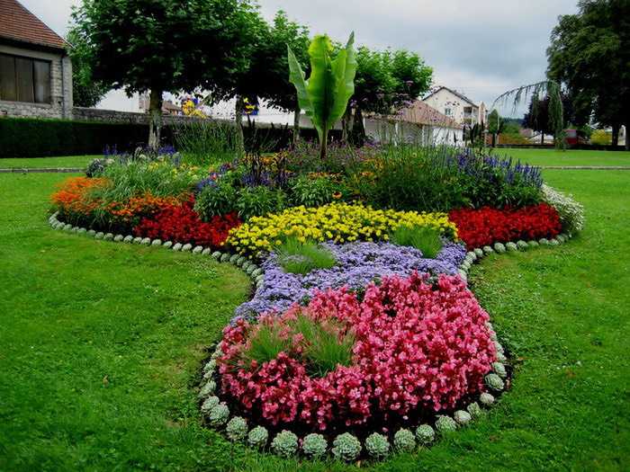 Клумбы на газоне (54 фото): названия газонных цветов, как отделить цветочный газон от цветника, чем лучше, красивые примеры и идеи дизайна