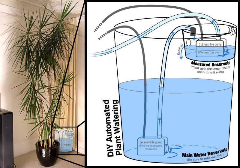 Как сделать капельный полив для комнатных растений - sadachanik