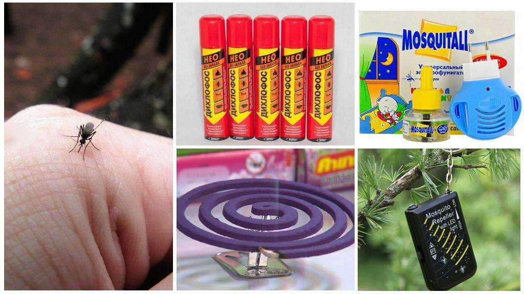5 эффективных средств от клещей, комаров и мошек - без химии, натура