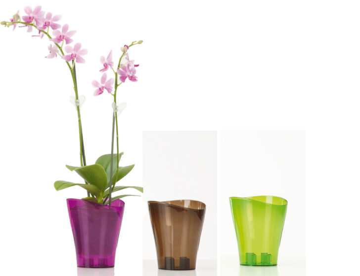 Кашпо для орхидей (33 фото): можно ли использовать прозрачное стеклянное кашпо и какое оно должно быть?