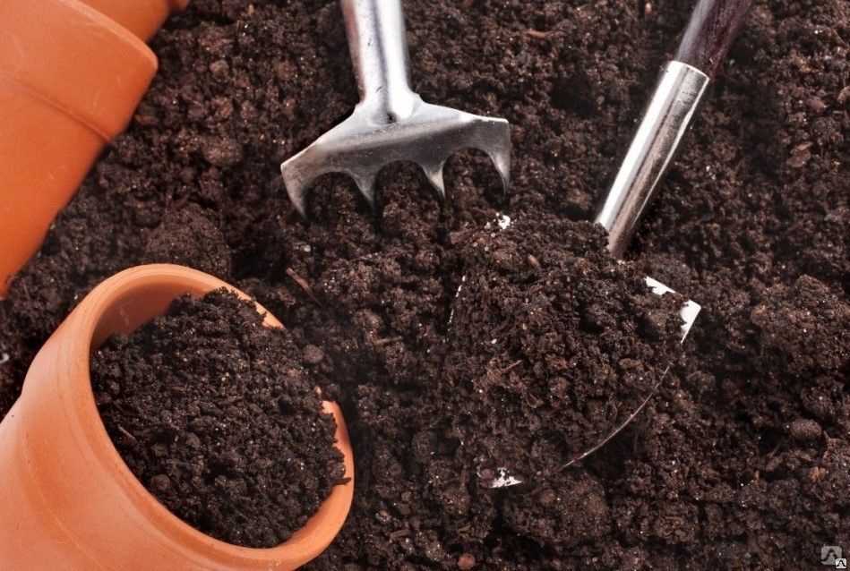 Грунт для фиалок: земля для сенполий своими руками. какой состав почвы лучше для комнатных растений и какая нужна кислотность? отзывы