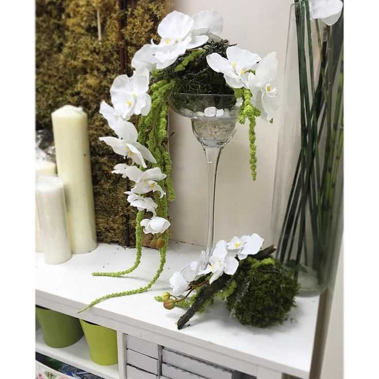 Орхидеи в интерьере квартиры - фото декоративного растения в горшке, лучшее место, куда её поставить дома зимой по фэншую, а также влияние внешнего вида и энергетики цветка на человека