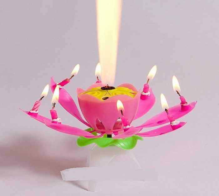 Музыкальные свечи для торта: свечки в виде раскрывающегося цветка, поющие крутящие свечи. как выбрать для ребенка?