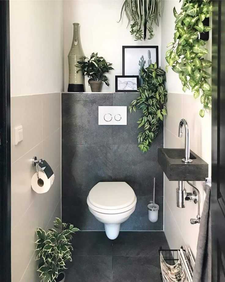 Санузел (116 фото): что это такое, дизайн совмещенного с ванной санузла, интерьер маленького раздельного помещения