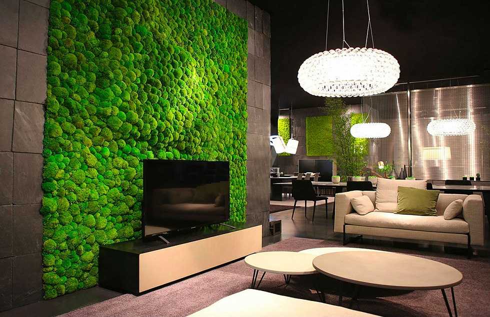 Стабилизированный мох в интерьерах: креативная отделка стен и актуальный тренд в озеленении