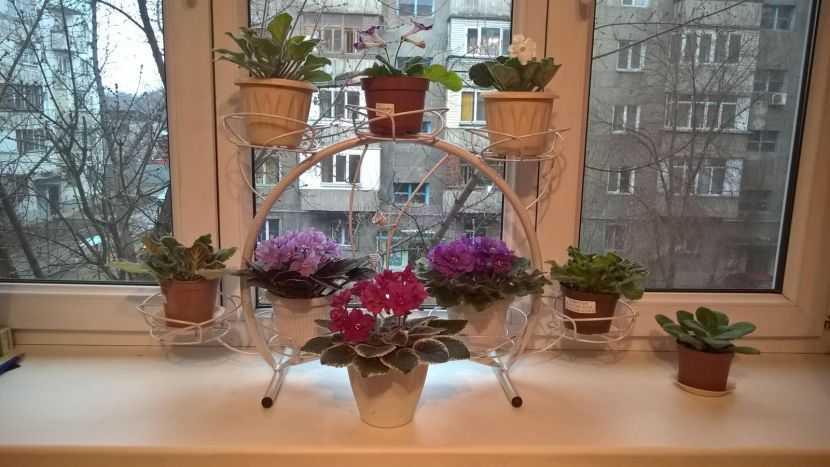 3 вида стеллажей для цветов: на подоконник, на окно, из дерева, выбор материала изготовления, самостоятельное изготовление