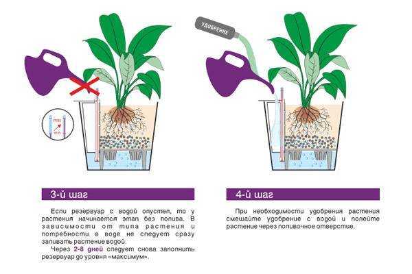 Правильный полив огородных растений. сколько, когда и как поливать?