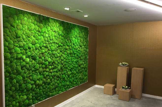 озеленение офиса